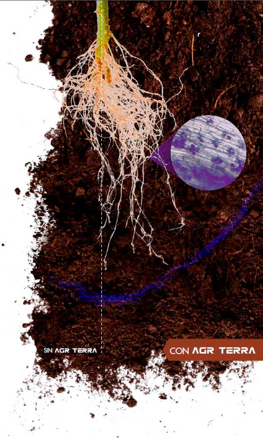 AGR Terra - Refuerza el sistema radicular